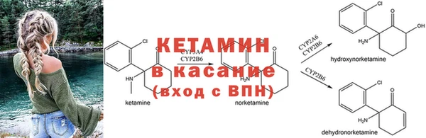 винт Абаза