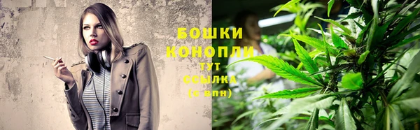 винт Абаза