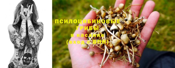 винт Абаза