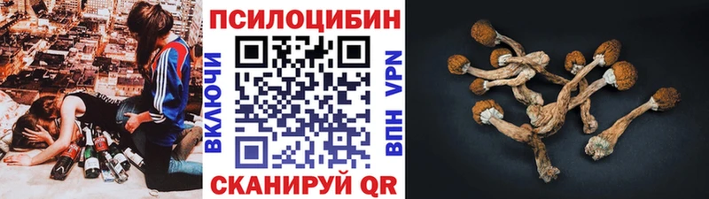 Галлюциногенные грибы GOLDEN TEACHER  хочу   Бобров 